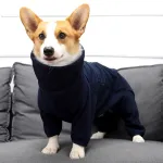 Dog Winter Thermal Onesies
