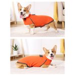 Sleeveless Pullover Dog Sweatshirt for Cold