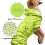 Cold Protection Dog Raincoat