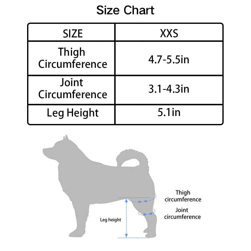 Chihuahua Luxating Patella Dog Brace Crawlpaw