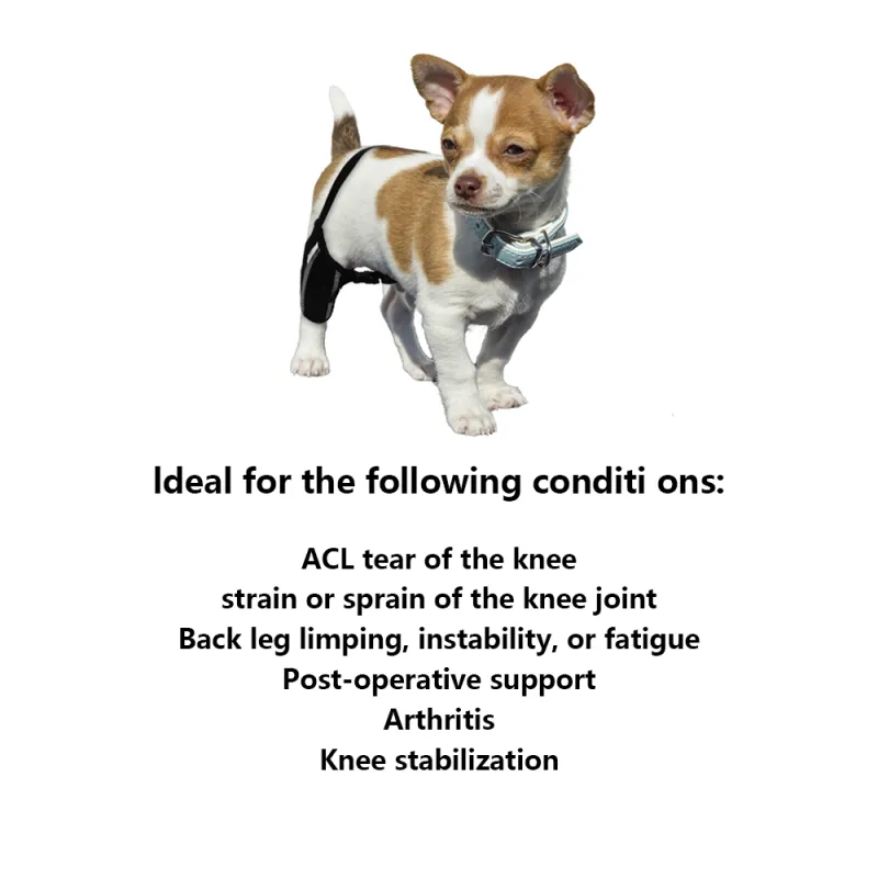 Chihuahua Leg Brace with Reflective Metal Support05