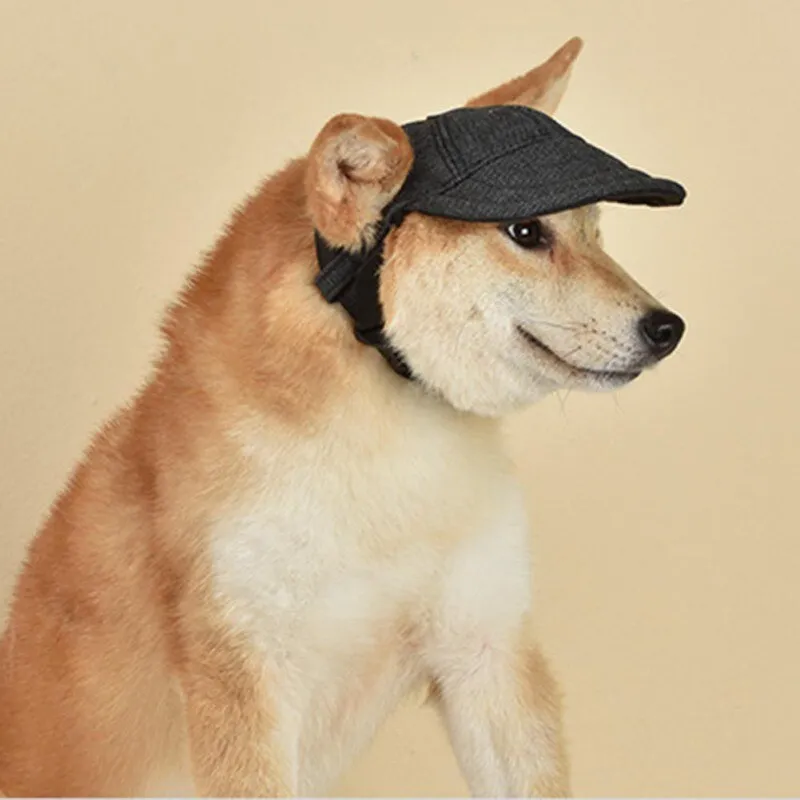 TAILUP Dog Baseball Cap05