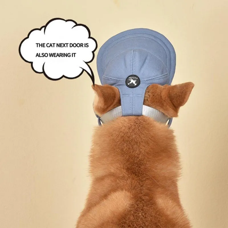 TAILUP Dog Baseball Cap02