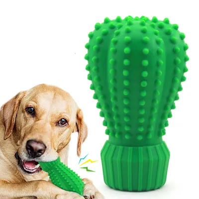 Dog Chew Toys Rubber Cactus 01