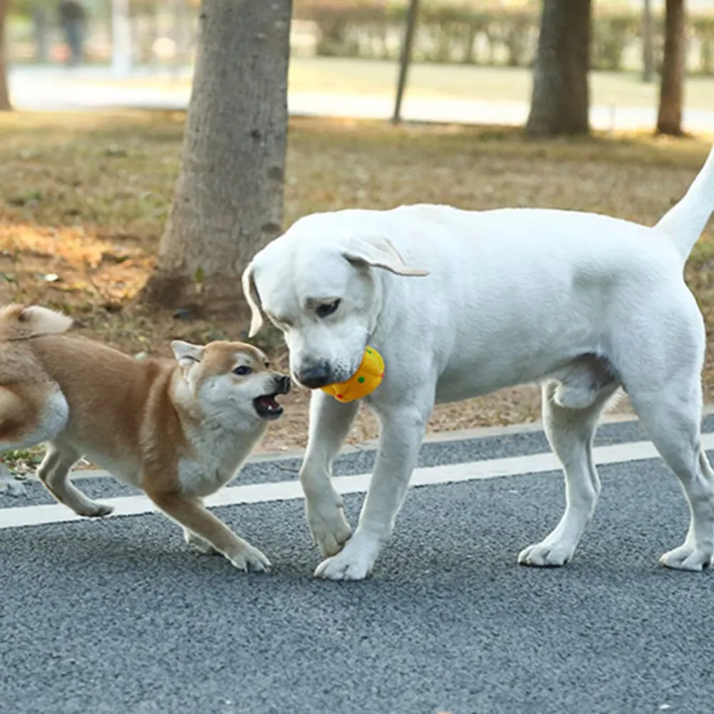 Latex dog teething toys