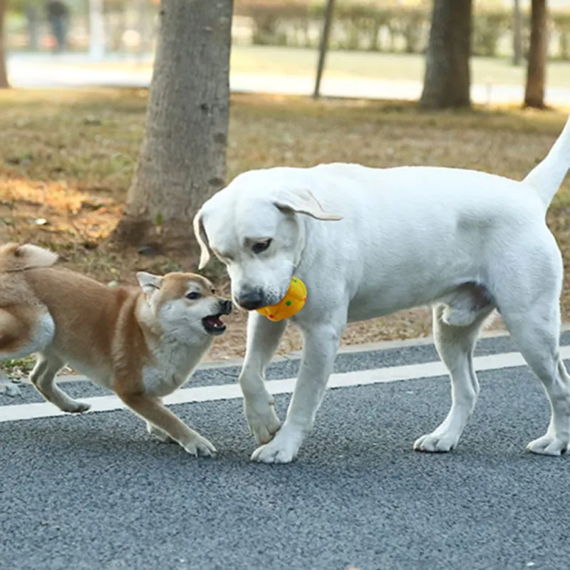 Latex dog teething toys