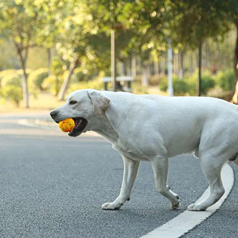 Latex dog teething toys