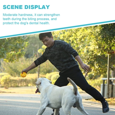 Latex dog teething toys 02