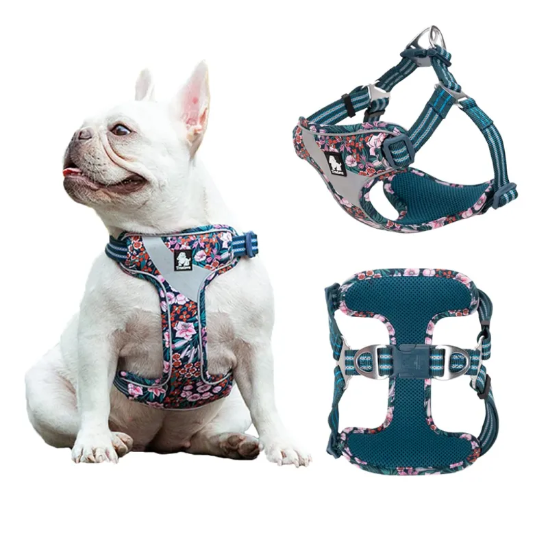 True Love Reflective Floral Dog Walking Harness00