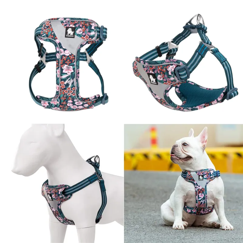 True Love Reflective Floral Dog Walking Harness02