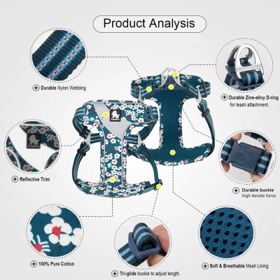 True Love Reflective Floral Dog Walking Harness 02
