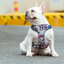True Love Reflective Floral Dog Walking Harness06