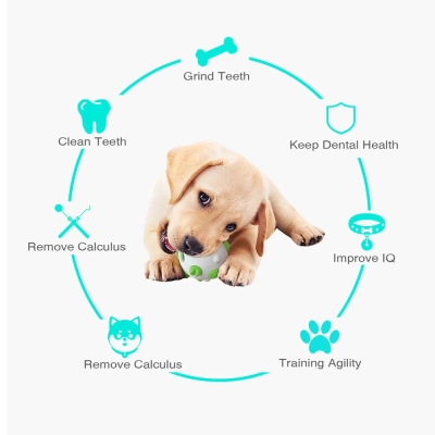 Dog Chew Toy Rubber Ball 02