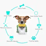 Dog Chew Toys Corn Molar Stick With Rope