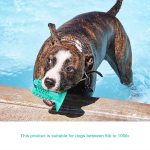 Dog Toothbrush Chew Toys Cactus Cleaning Stick
