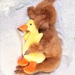 Dog interactive toy duck