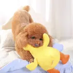Dog interactive toy duck