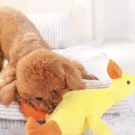 Dog interactive toy duck