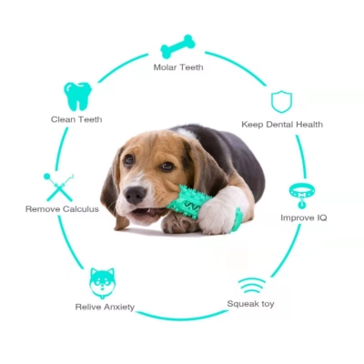 Dog Chew Toy Rubber Molar Stick 02