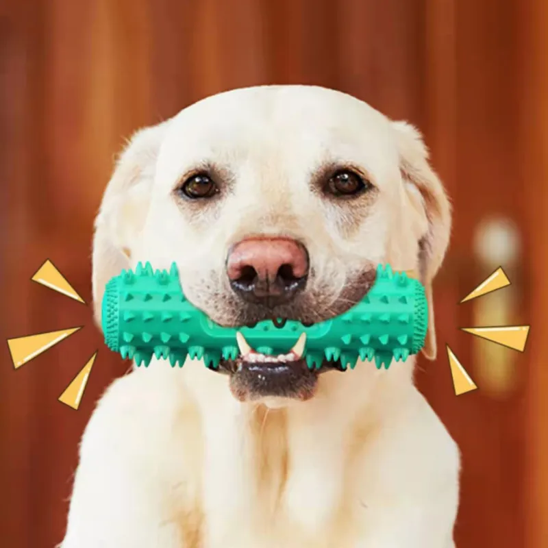 Dog Chew Toy Rubber Molar Stick00