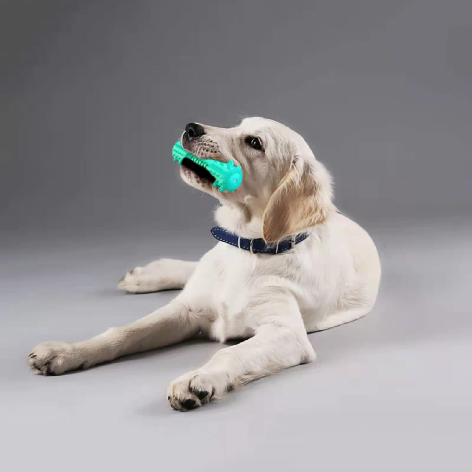 Dog Chew Toy Rubber Molar Stick