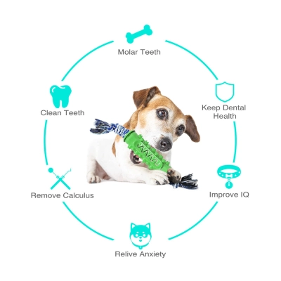 Dog Chew Toys Rubber Molar Stick with Cotton Bite Rope  02