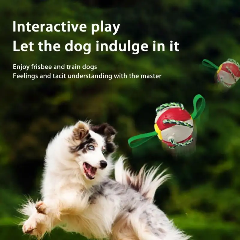 Dog Chew Toys Training Frisbee Football02