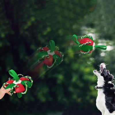 Dog Chew Toys Training Frisbee Football 02