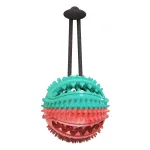 Dog Chew Toy Rubber Teething Anti-Bite Sound Ball