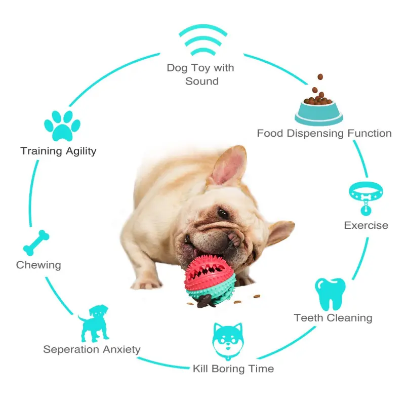 Dog Chew Toy Rubber Teething Anti-Bite Sound Ball