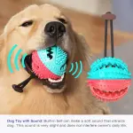 Dog Chew Toy Rubber Teething Anti-Bite Sound Ball