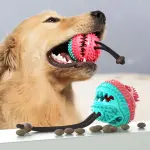 Dog Chew Toy Rubber Teething Anti-Bite Sound Ball