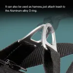 True Love Adjustable Dog Car Harness
