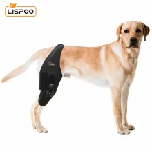 LISPOO Dog Knee Brace With Adjustable Hinge Stabilizer00
