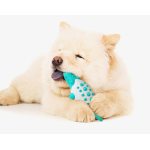 Dog Chew Toy Rubber Crocodile