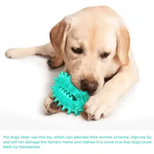 Dog Chew Toy Rubber Molar Cactus03