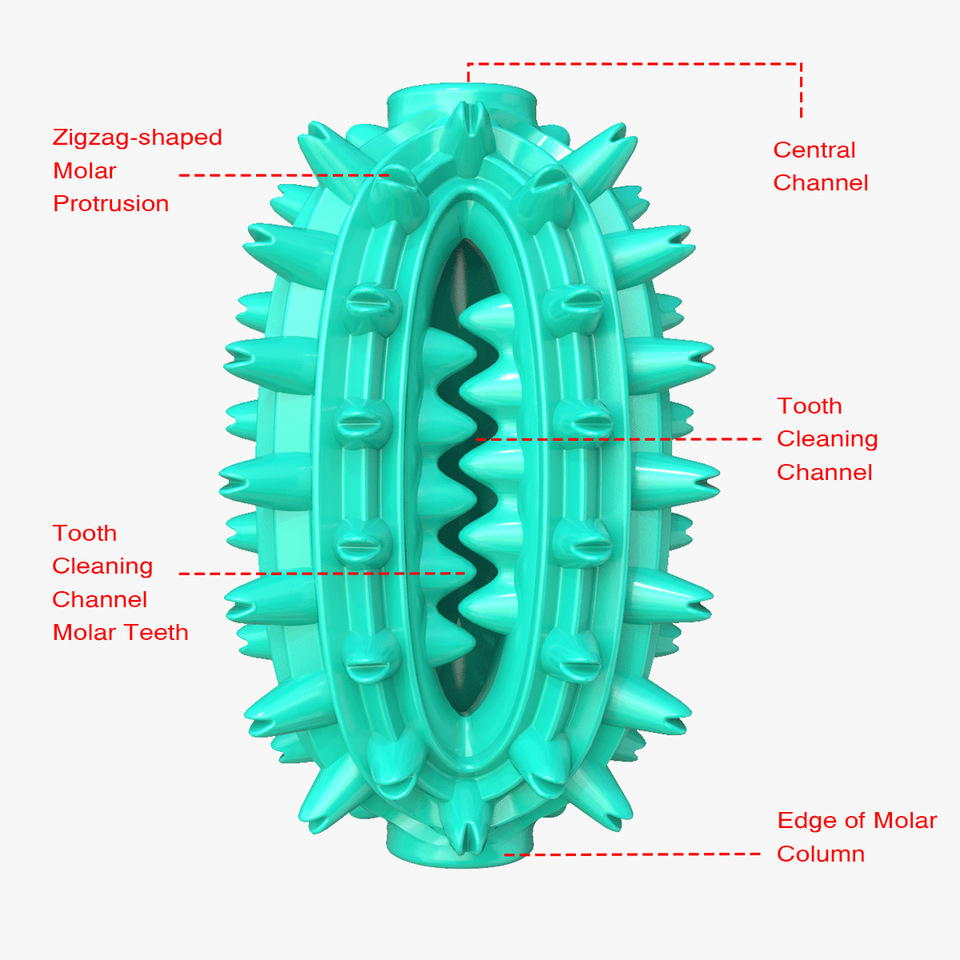 Dog Chew Toy Rubber Molar Cactus