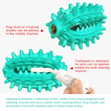 Dog Chew Toy Rubber Molar Cactus05