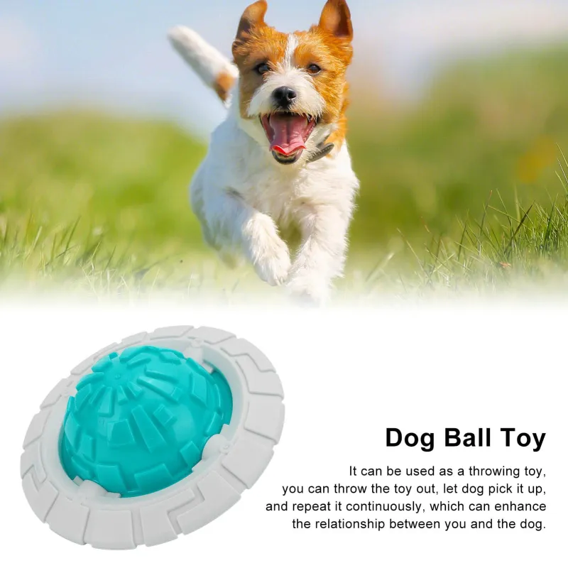 Dog Chew Toy Molar Dog Frisbee04