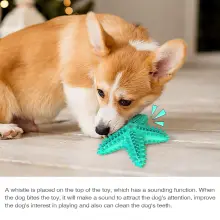 Dog Chew Toy Rubber Molar Starfish04