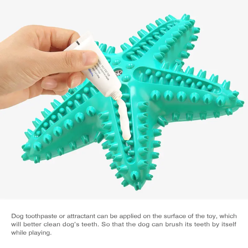 Dog Chew Toy Rubber Molar Starfish05