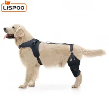 LISPOO Golden Retriever Double Hind Leg Hinged Knee Braces For Torn ACL00