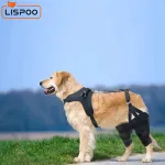 LISPOO Golden Retriever Double Hind Leg Hinged Knee Braces For Torn ACL