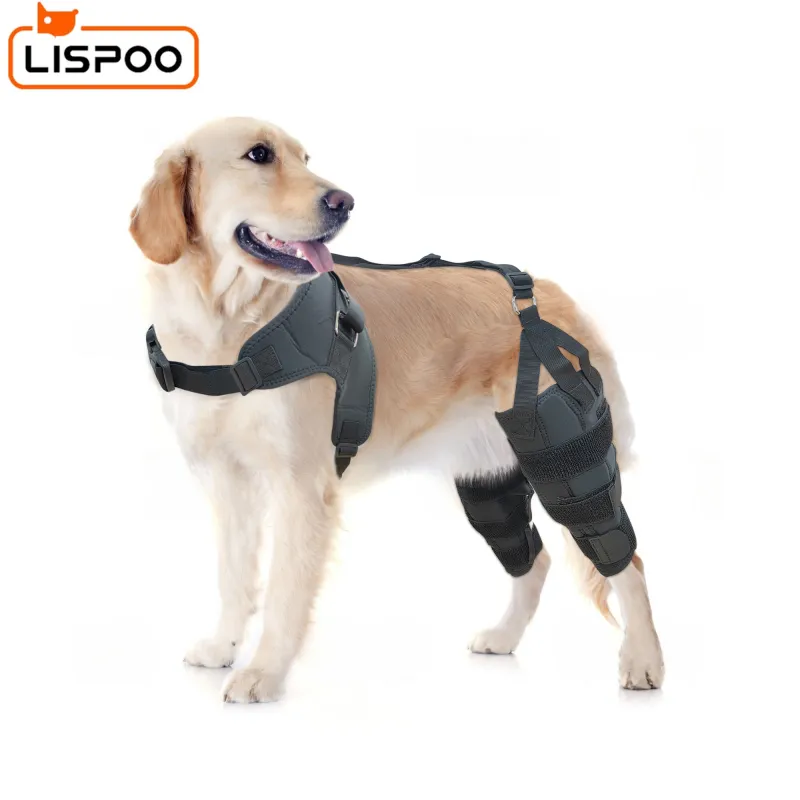 LISPOO Golden Retriever Double Hind Leg Hinged Knee Braces For Torn ACL01