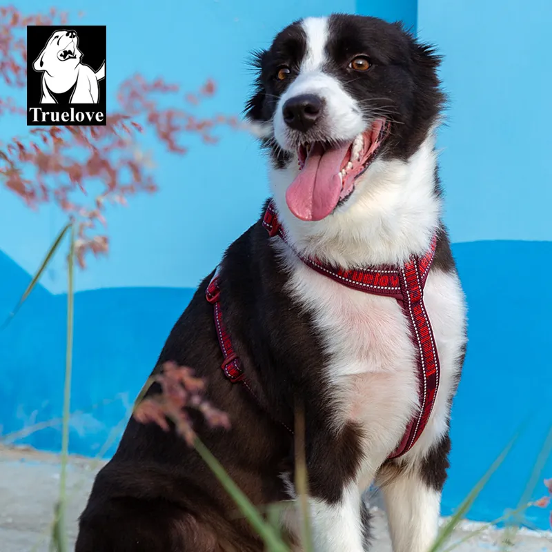 True Love Reflective H Shaped Dog Harness08