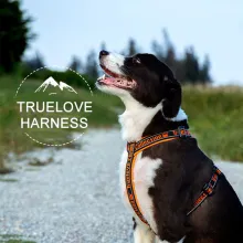 True Love Reflective H Shaped Dog Harness07