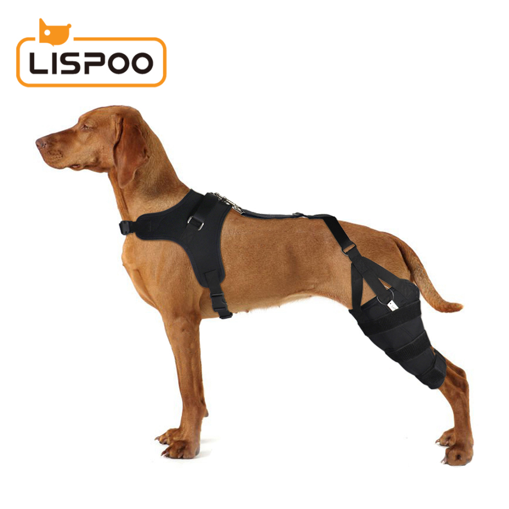 LISPOO Dog Knee ACL Brace With Metal Splint Hinged Flexible Support