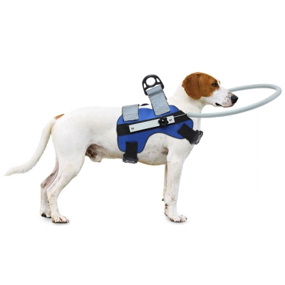 Harness For Blind Dogs 01
