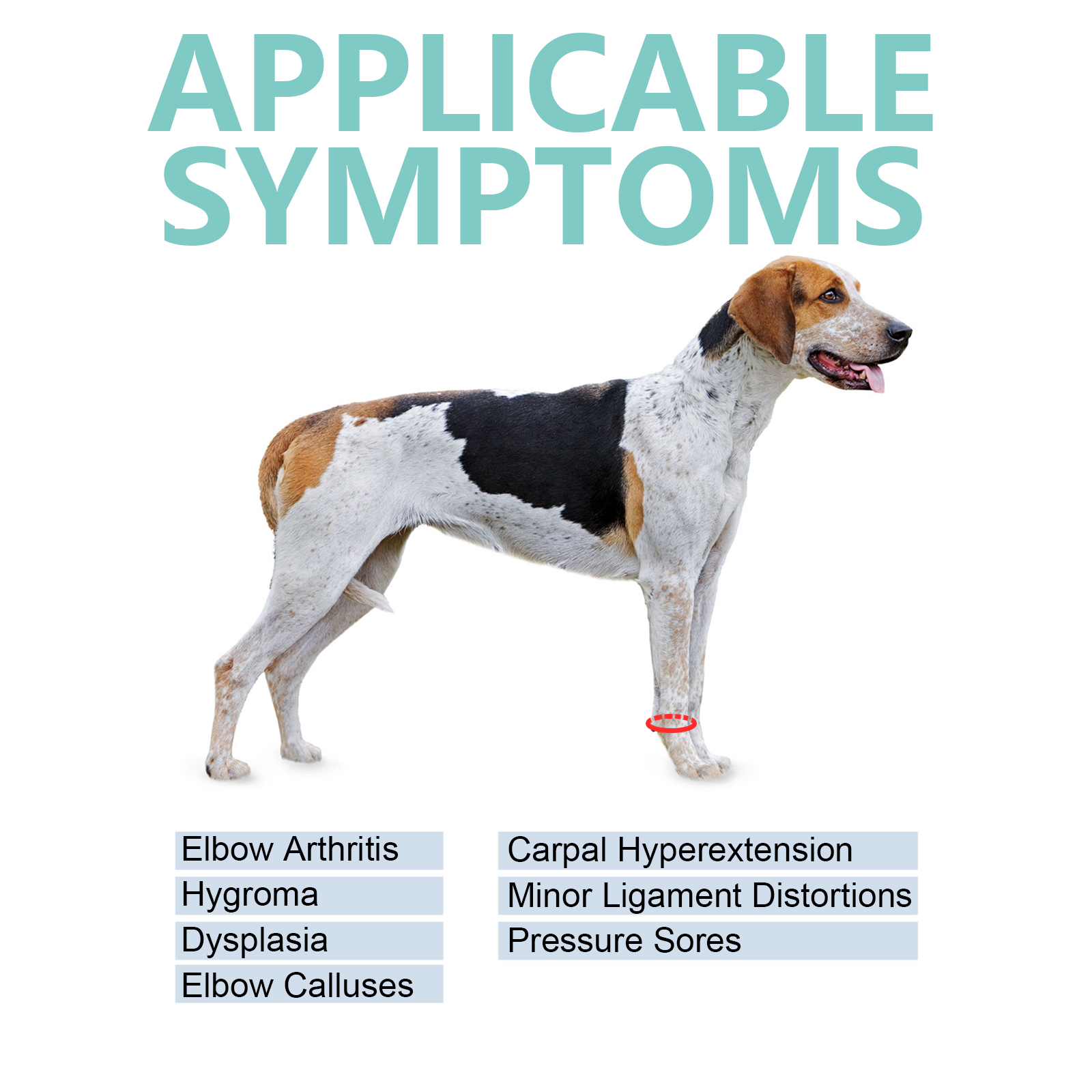 LISPOO Dog Wrist Brace for Sports Protection