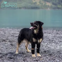 LISPOO Dog Wrist Brace for Sports Protection05